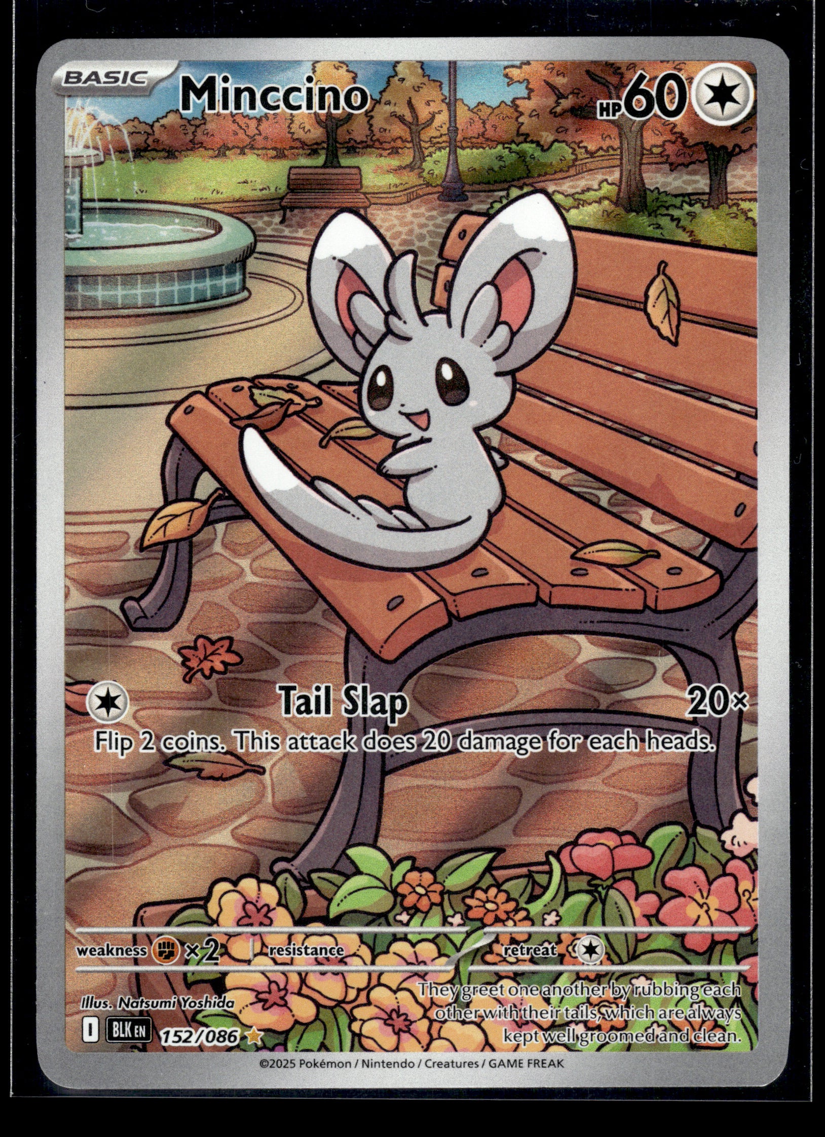 Minccino #152/086 Black Bolt LP